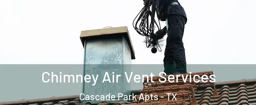 Chimney Air Vent Services Cascade Park Apts - TX