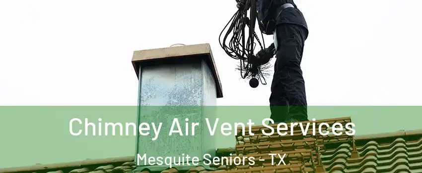 Chimney Air Vent Services Mesquite Seniors - TX