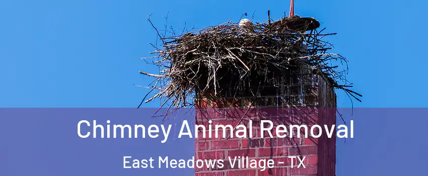 Chimney Animal Removal East Meadows Village - TX