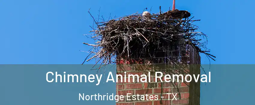 Chimney Animal Removal Northridge Estates - TX