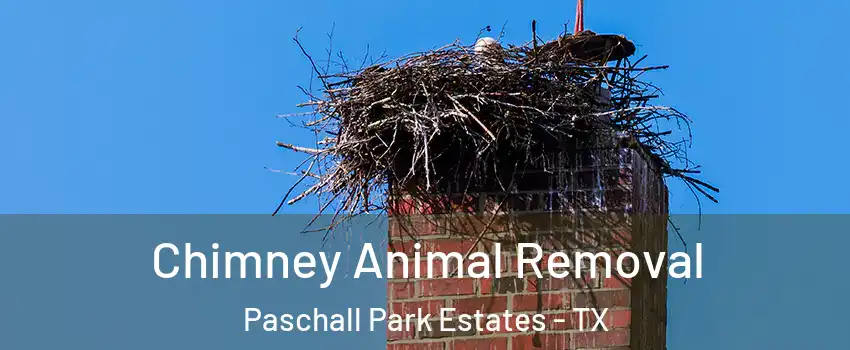 Chimney Animal Removal Paschall Park Estates - TX