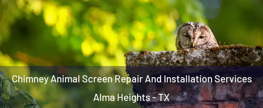 Chimney Animal Screen Repair And Installation Services Alma Heights - TX