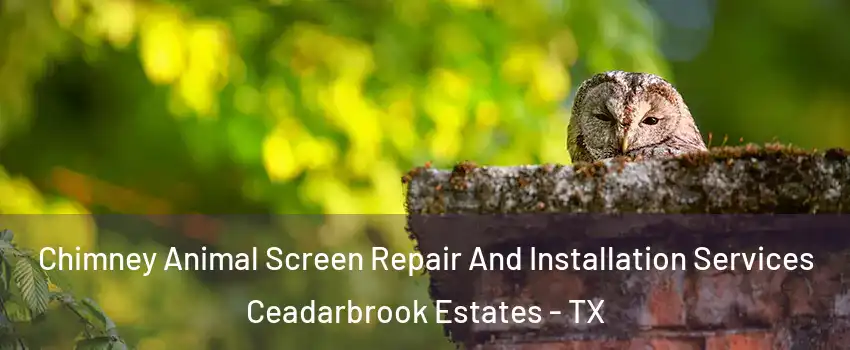 Chimney Animal Screen Repair And Installation Services Ceadarbrook Estates - TX