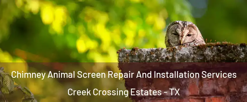 Chimney Animal Screen Repair And Installation Services Creek Crossing Estates - TX