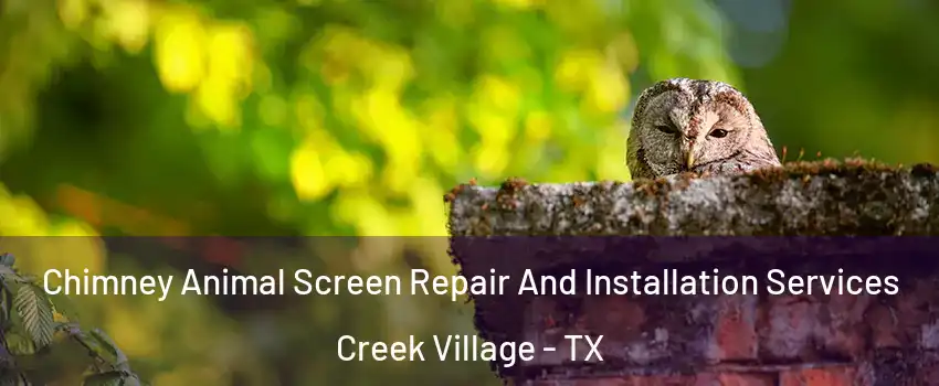 Chimney Animal Screen Repair And Installation Services Creek Village - TX