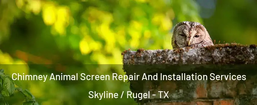 Chimney Animal Screen Repair And Installation Services Skyline / Rugel - TX