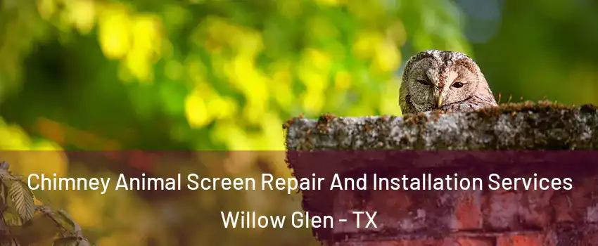 Chimney Animal Screen Repair And Installation Services Willow Glen - TX