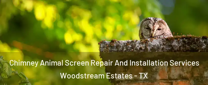 Chimney Animal Screen Repair And Installation Services Woodstream Estates - TX