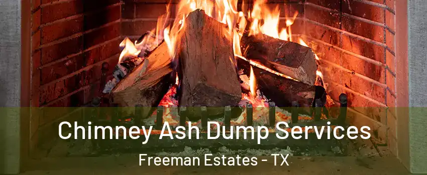 Chimney Ash Dump Services Freeman Estates - TX