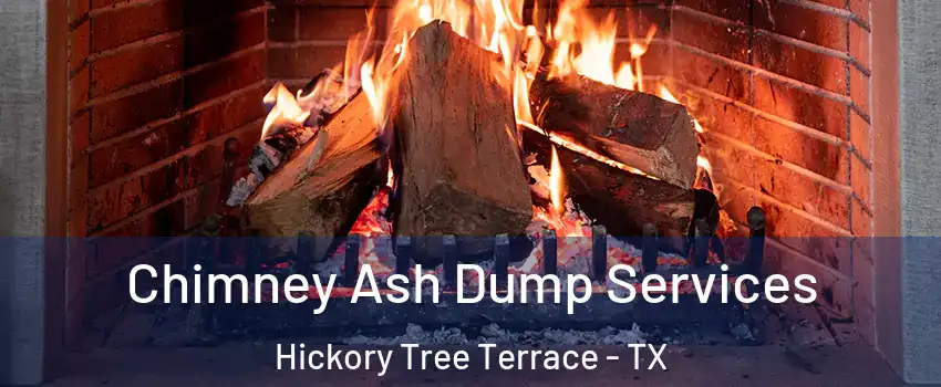 Chimney Ash Dump Services Hickory Tree Terrace - TX