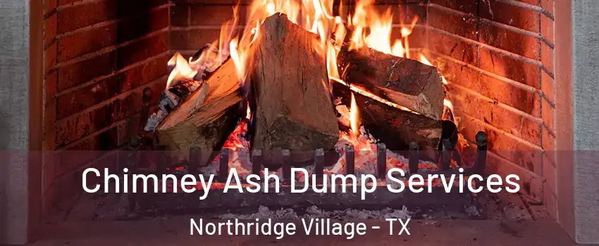 Chimney Ash Dump Services Northridge Village - TX