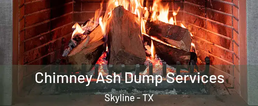 Chimney Ash Dump Services Skyline - TX