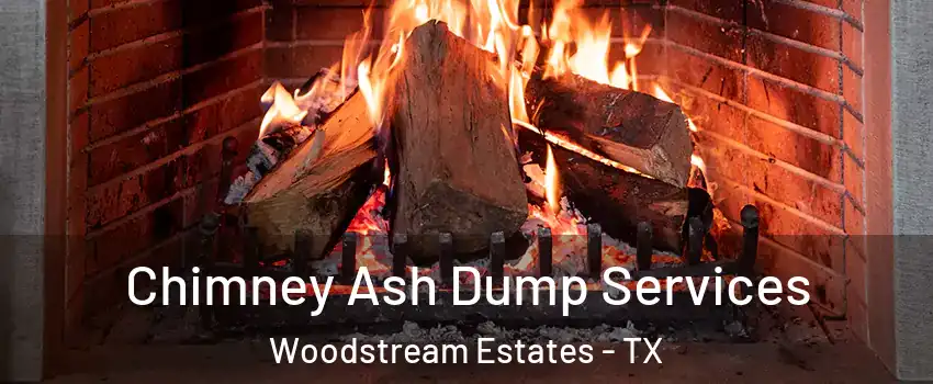 Chimney Ash Dump Services Woodstream Estates - TX