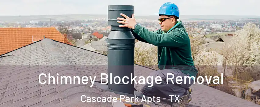 Chimney Blockage Removal Cascade Park Apts - TX