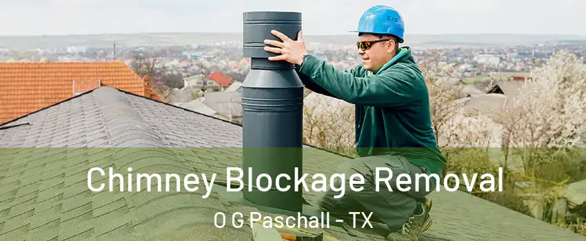 Chimney Blockage Removal O G Paschall - TX