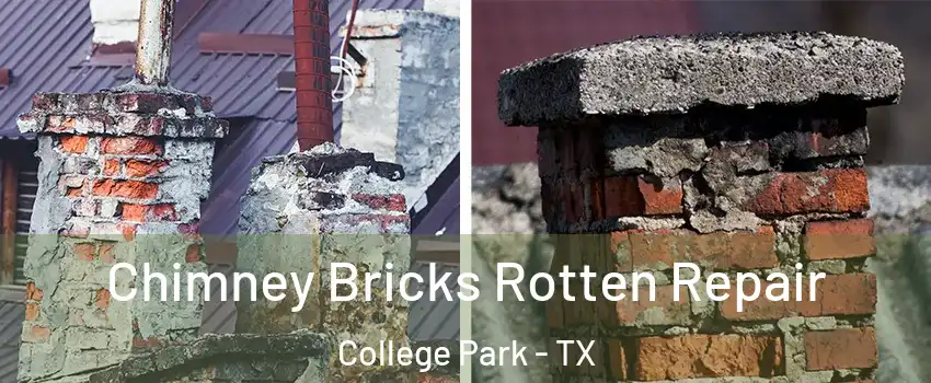 Chimney Bricks Rotten Repair College Park - TX