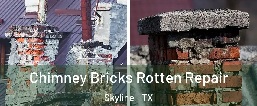 Chimney Bricks Rotten Repair Skyline - TX