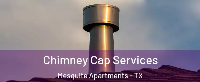 Chimney Cap Services Mesquite Apartments - TX