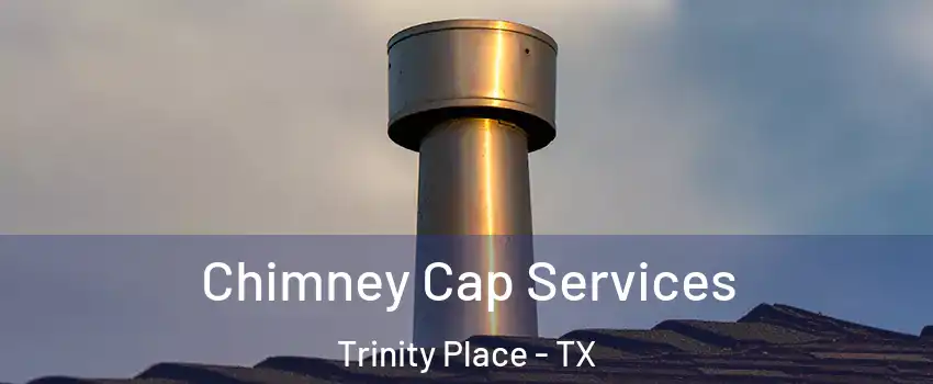 Chimney Cap Services Trinity Place - TX