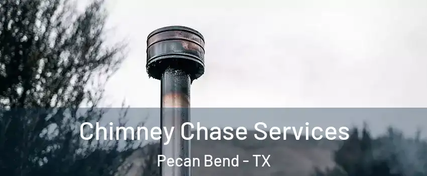 Chimney Chase Services Pecan Bend - TX