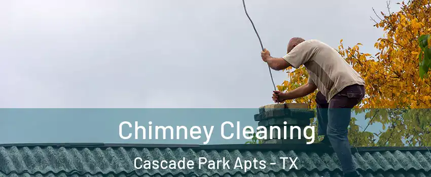 Chimney Cleaning Cascade Park Apts - TX