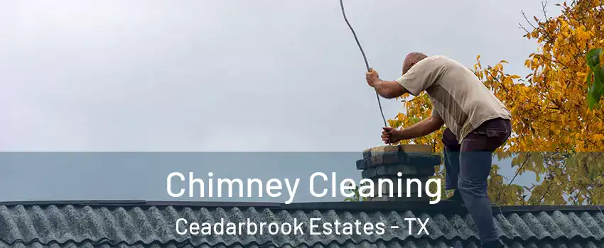 Chimney Cleaning Ceadarbrook Estates - TX