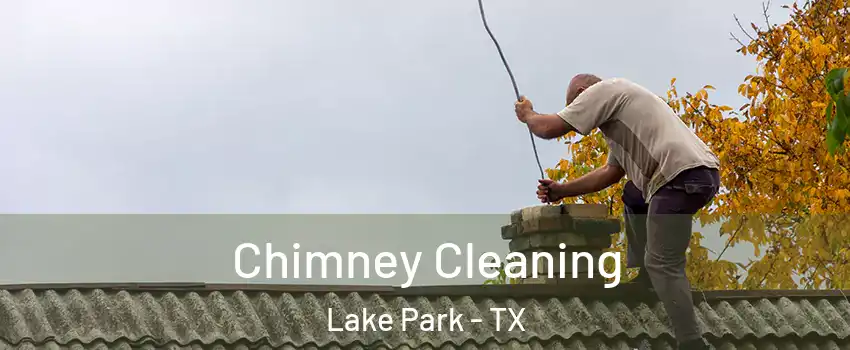 Chimney Cleaning Lake Park - TX