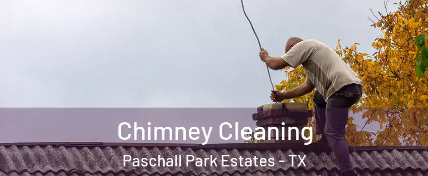 Chimney Cleaning Paschall Park Estates - TX