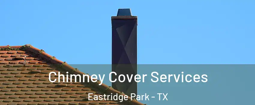 Chimney Cover Services Eastridge Park - TX