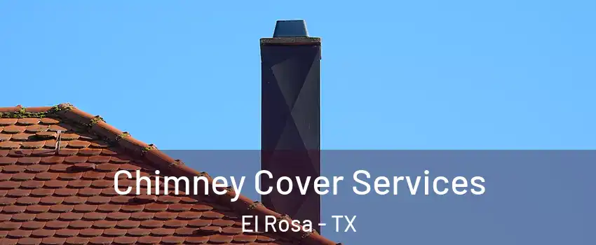 Chimney Cover Services El Rosa - TX