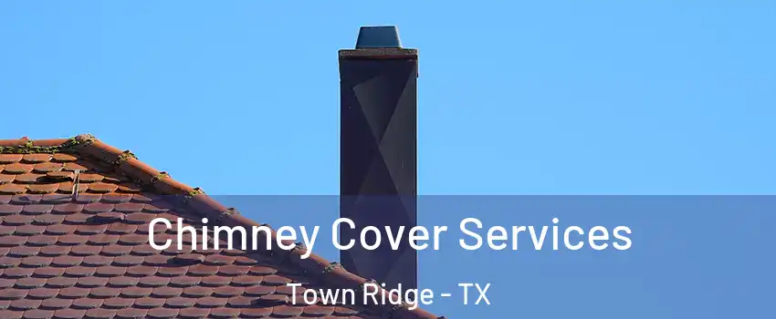 Chimney Cover Services Town Ridge - TX