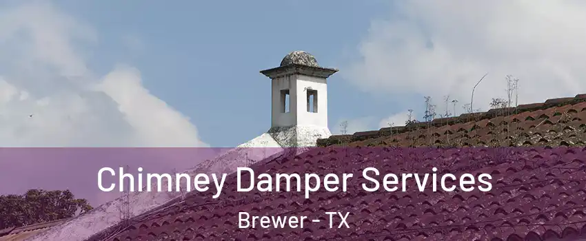 Chimney Damper Services Brewer - TX