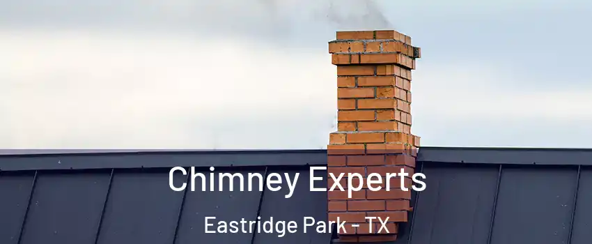 Chimney Experts Eastridge Park - TX