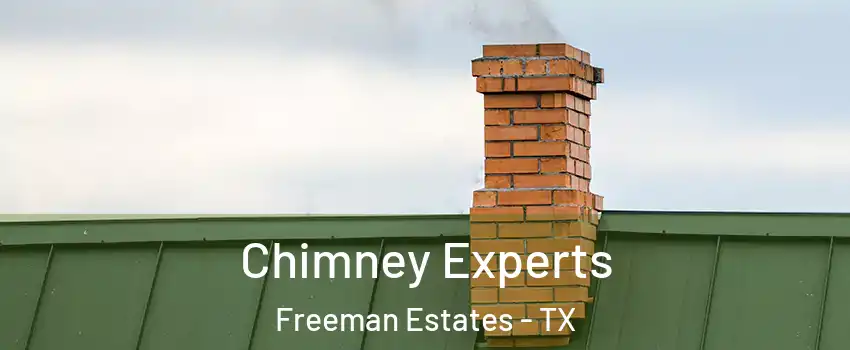 Chimney Experts Freeman Estates - TX