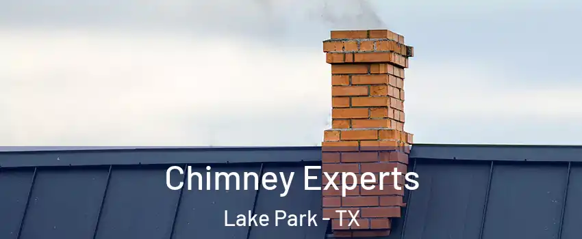 Chimney Experts Lake Park - TX