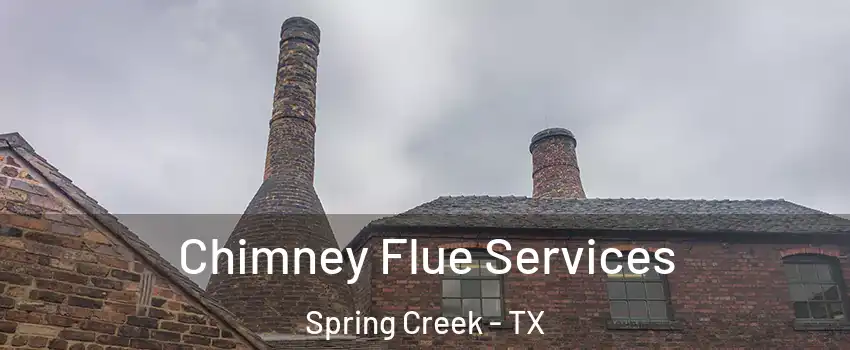 Chimney Flue Services Spring Creek - TX