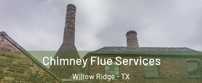 Chimney Flue Services Willow Ridge - TX