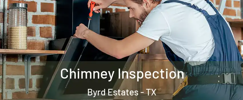 Chimney Inspection Byrd Estates - TX