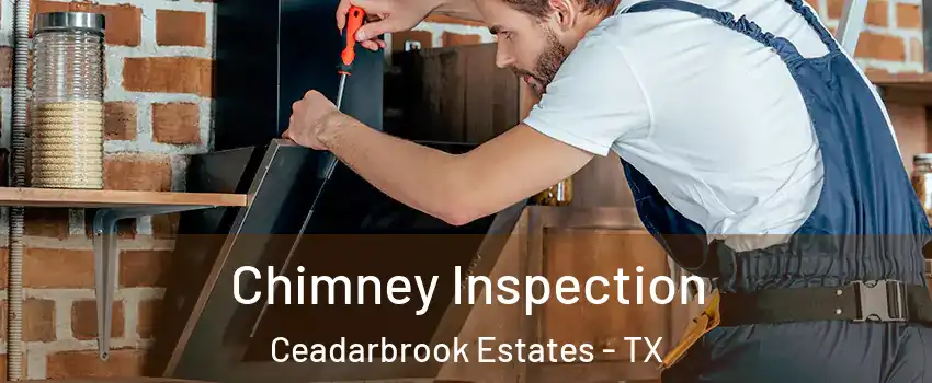 Chimney Inspection Ceadarbrook Estates - TX