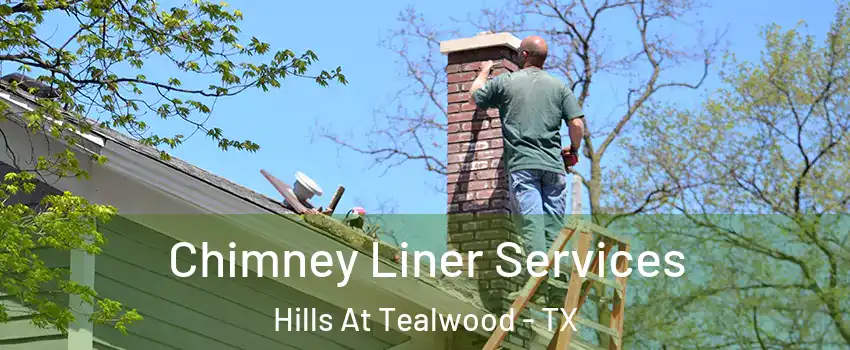 Chimney Liner Services Hills At Tealwood - TX