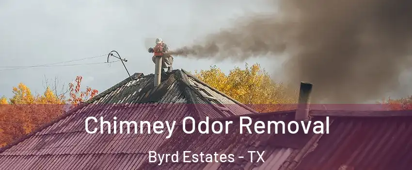 Chimney Odor Removal Byrd Estates - TX