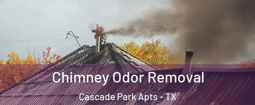 Chimney Odor Removal Cascade Park Apts - TX