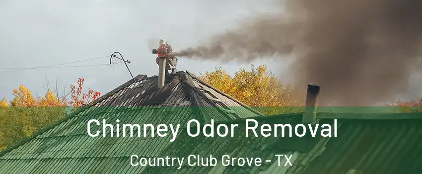 Chimney Odor Removal Country Club Grove - TX