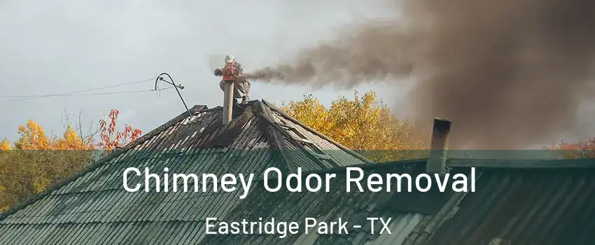 Chimney Odor Removal Eastridge Park - TX