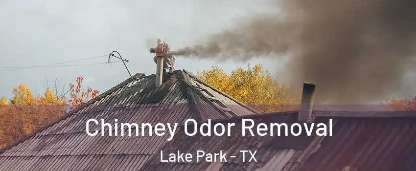 Chimney Odor Removal Lake Park - TX