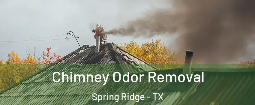 Chimney Odor Removal Spring Ridge - TX