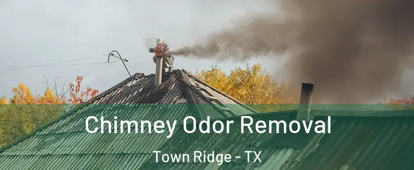 Chimney Odor Removal Town Ridge - TX