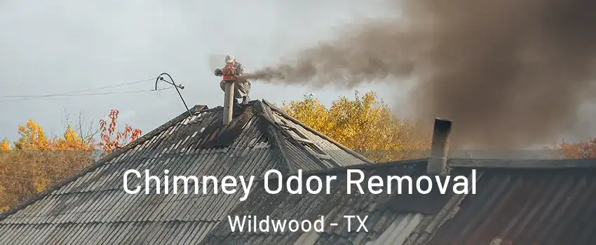 Chimney Odor Removal Wildwood - TX