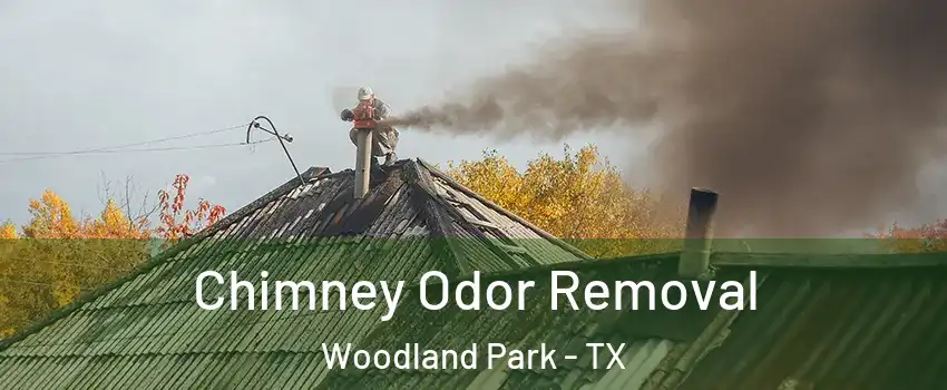 Chimney Odor Removal Woodland Park - TX