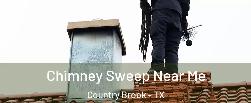 Chimney Sweep Near Me Country Brook - TX